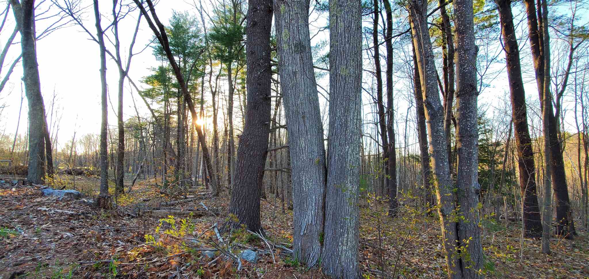 Lot 5-2 Tebbetts Road Rochester, NH 03867 - Photo 5 of 25