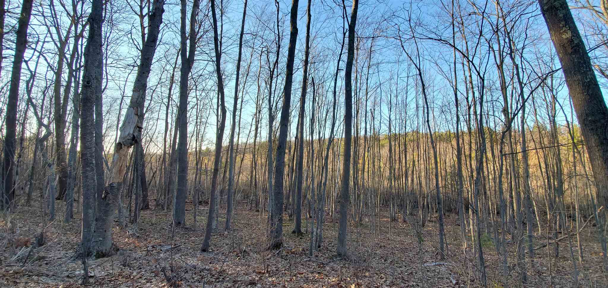 Lot 5-2 Tebbetts Road Rochester, NH 03867 - Photo 6 of 25