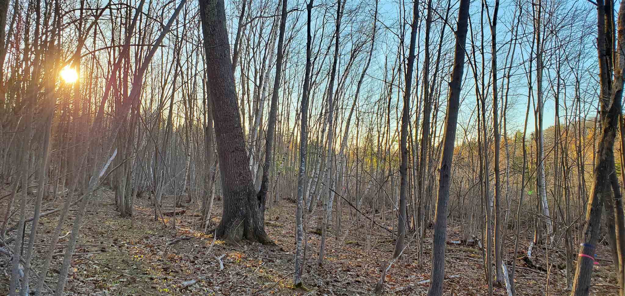 Lot 5-2 Tebbetts Road Rochester, NH 03867 - Photo 8 of 25