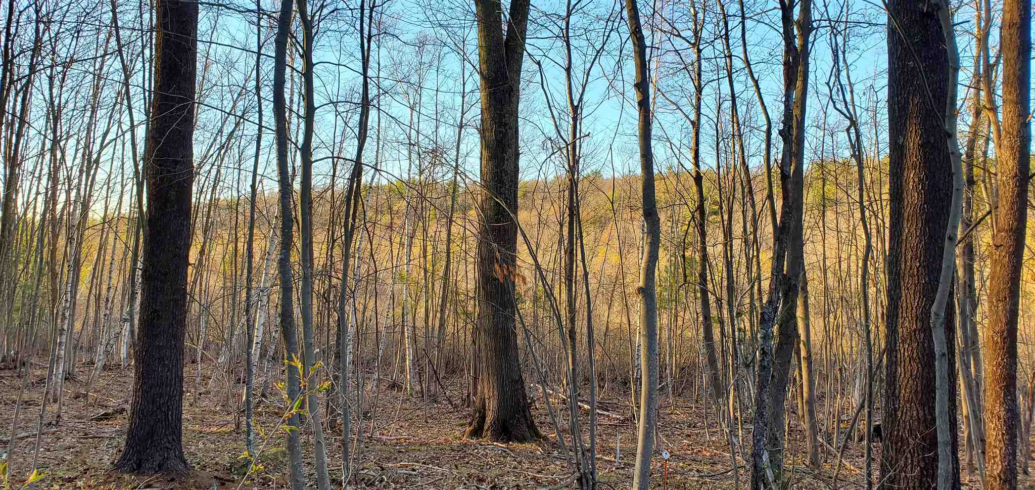 Lot 5-2 Tebbetts Road Rochester, NH 03867 - Photo 9 of 25