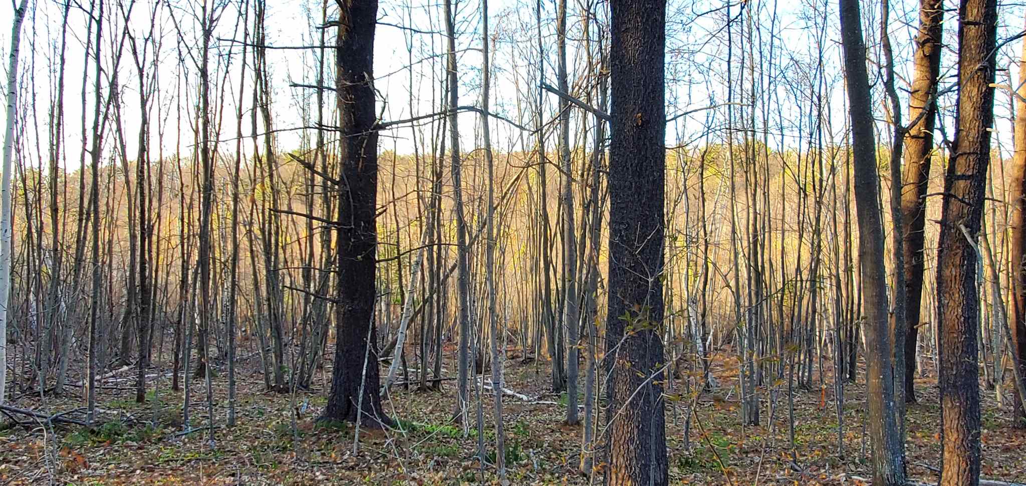 Lot 5-2 Tebbetts Road Rochester, NH 03867 - Photo 10 of 25
