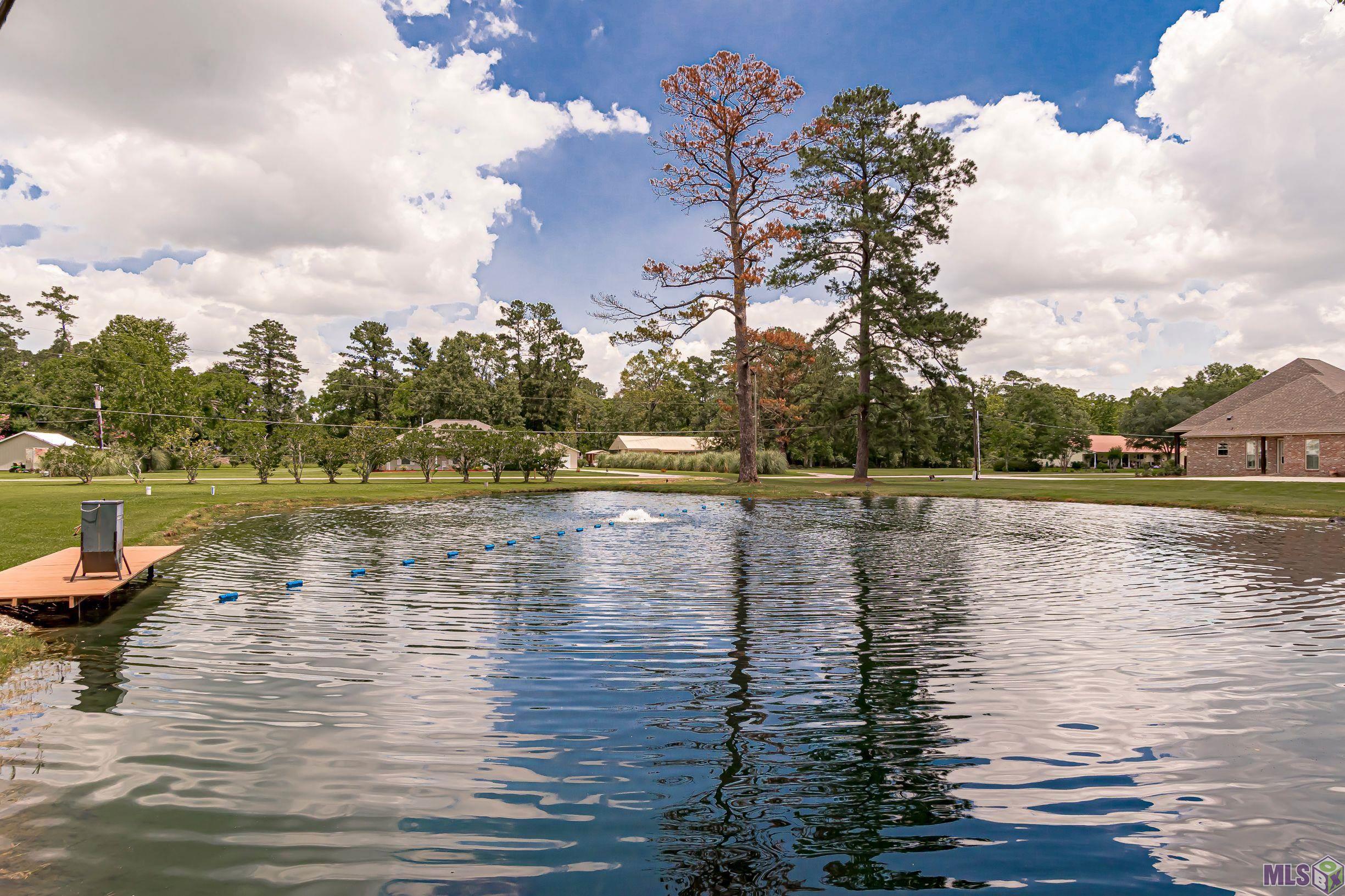 14342 Harry Savoy Road St. Amant, LA 70774 - Photo 34 of 37 Gallery Image 34