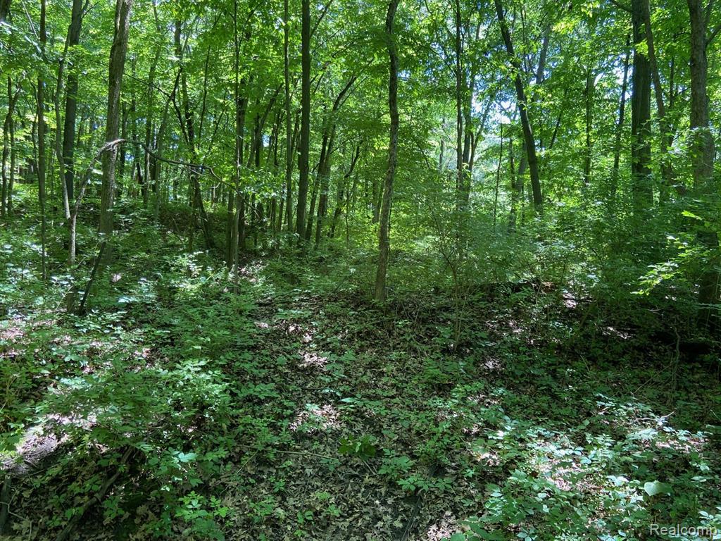 0 Alexander Drive Howell, MI 48855 - Photo 2 of 3