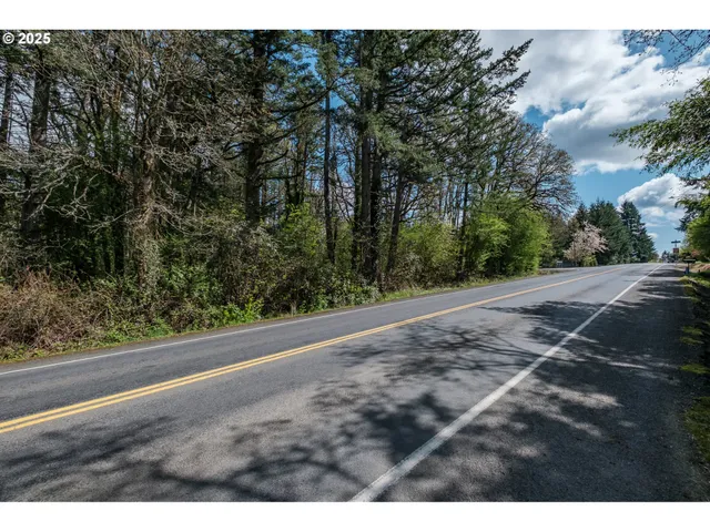 a view of city and mountain