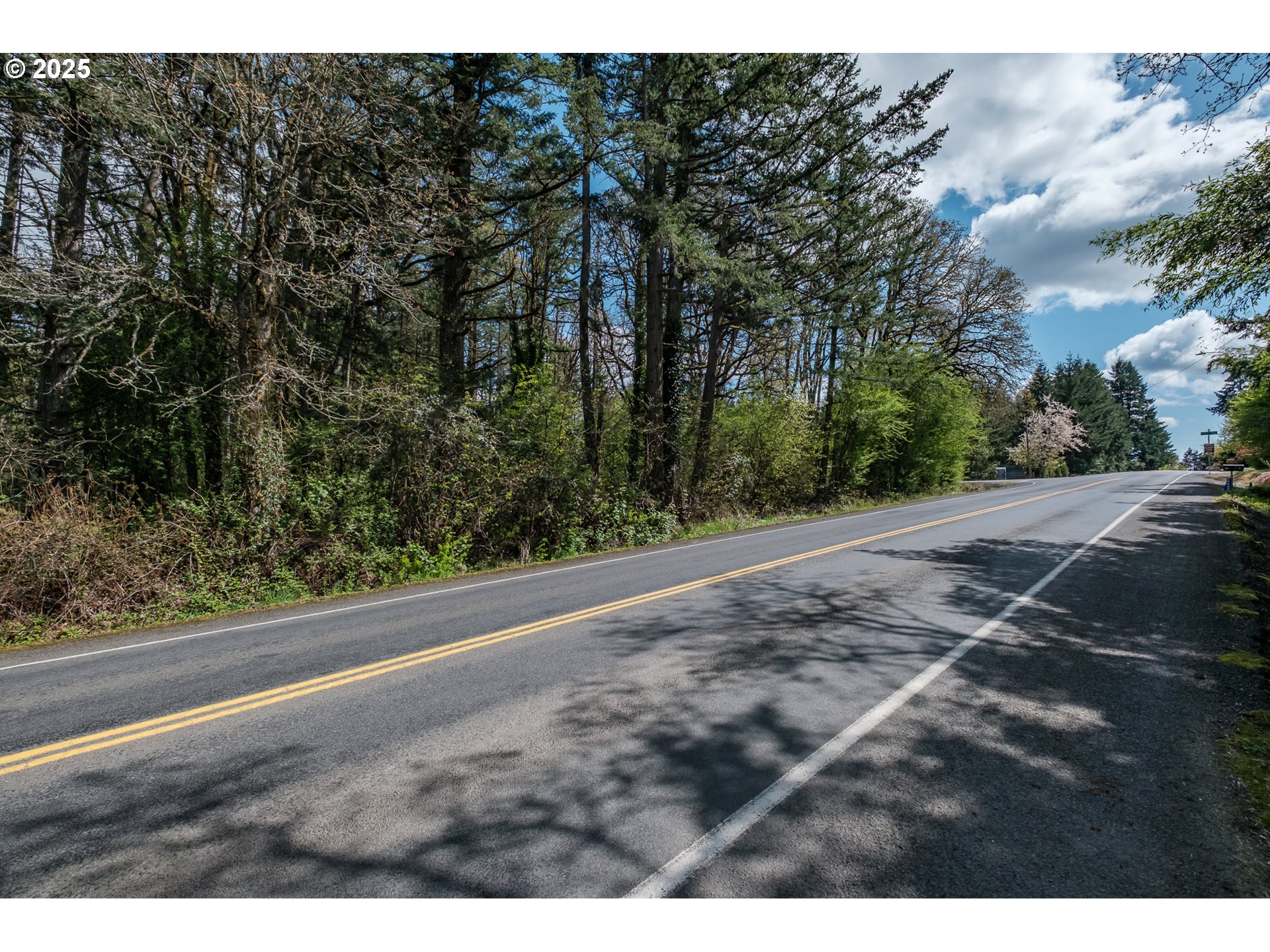 Valley View Drive Northwest Albany, OR 97321 - Photo 13 of 24