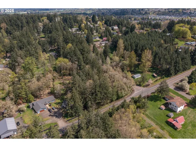 a view of a forest with a street