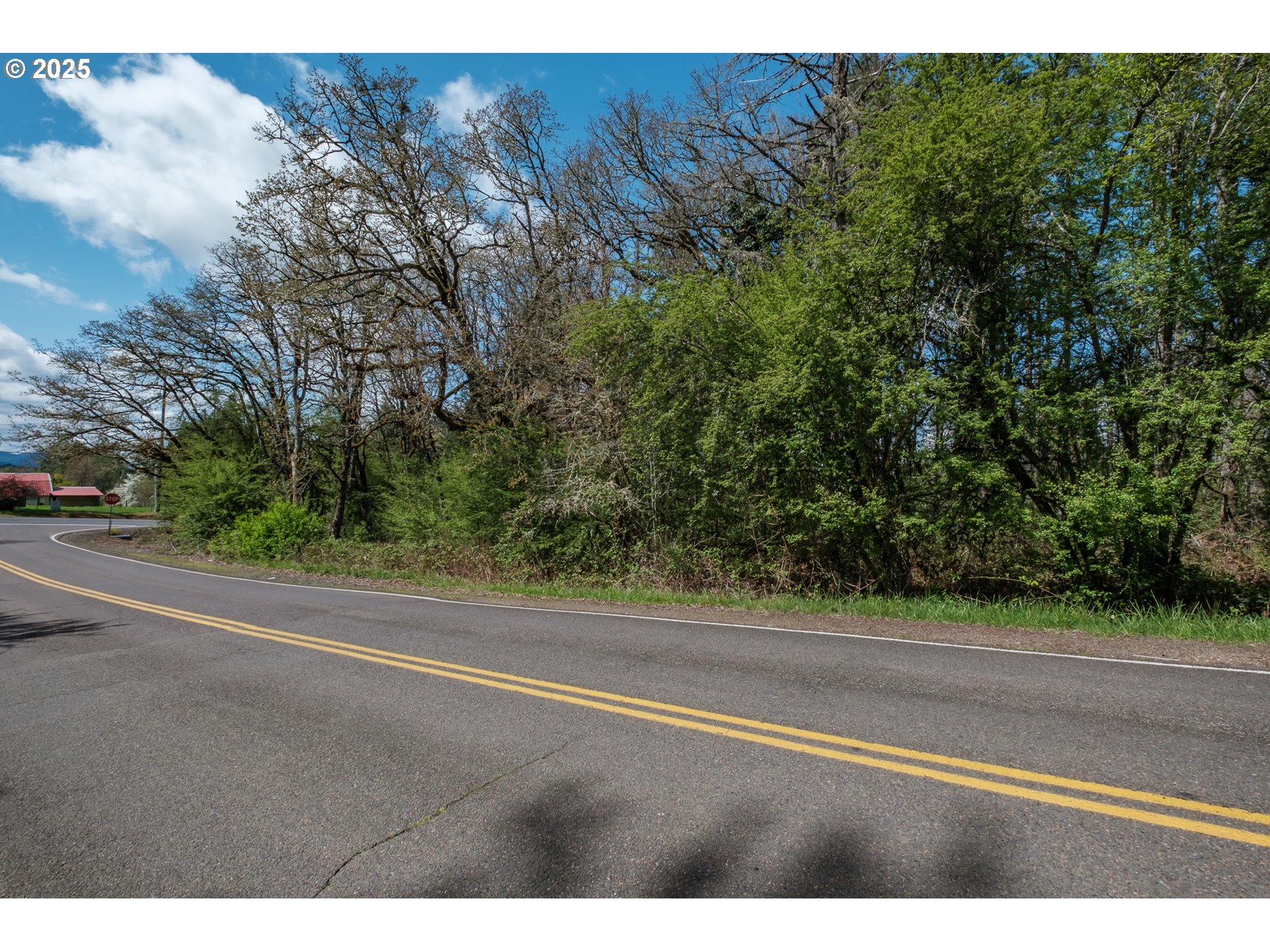 Valley View Drive Northwest Albany, OR 97321 - Photo 7 of 24