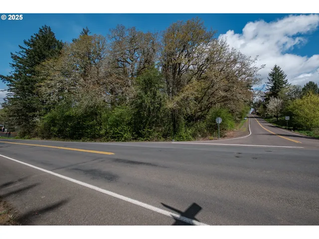 a view of a yard with a street