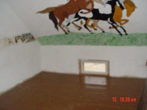 10900 South Waldron Road Pittsford, MI 49271 - Photo 5 of 11 917371-4.JPG