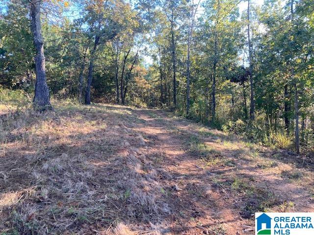 250 Gortney Road, Unit 110 AC Ashland, AL 36251 - Photo 5 of 8 Gallery Image 5