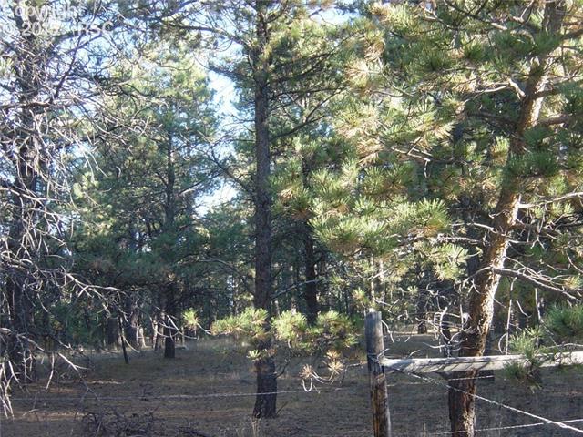 0 Dawson Road Elbert, CO 80106 - Photo 3 of 3