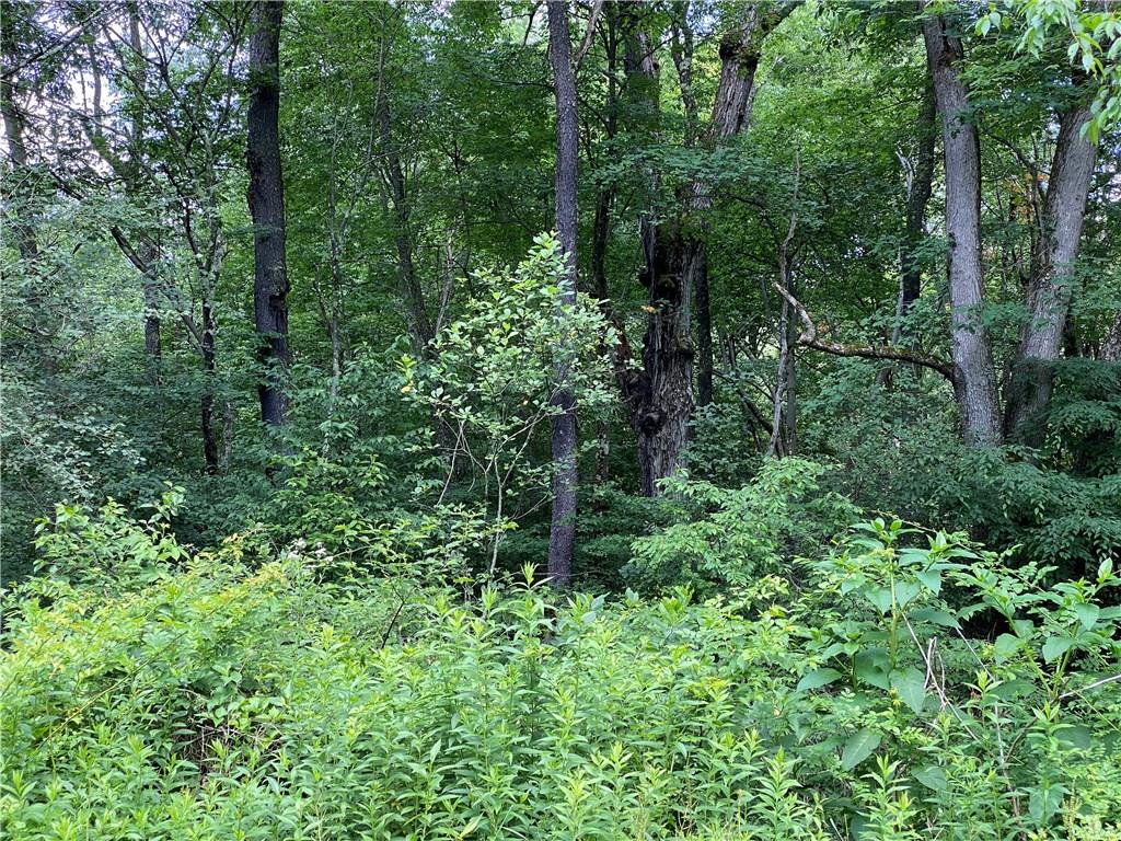 0 Clark King Road Farmington, PA 15437 - Photo 2 of 6 Gallery Image 2