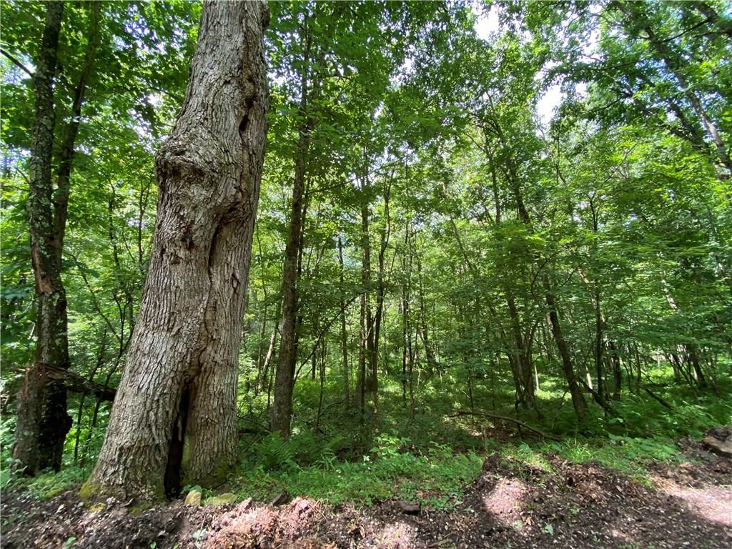 0 Clark King Road Farmington, PA 15437 - Photo 3 of 6 Gallery Image 3