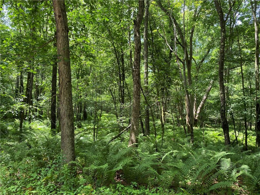 0 Clark King Road Farmington, PA 15437 - Photo 4 of 6 Gallery Image 4
