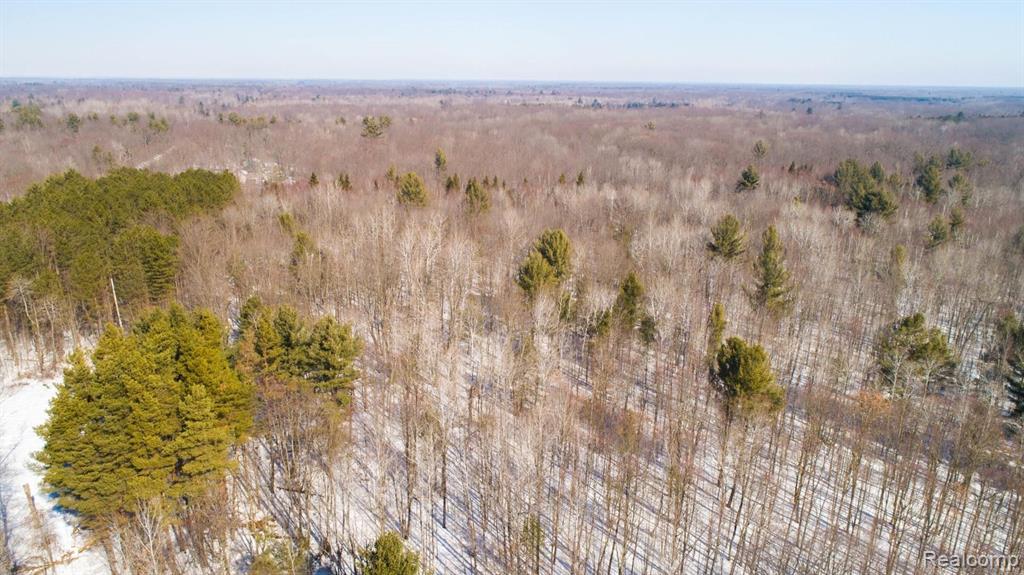 3637 South Loomis Road Mount Pleasant, MI 48858 - Photo 34 of 76 Gallery Image 34