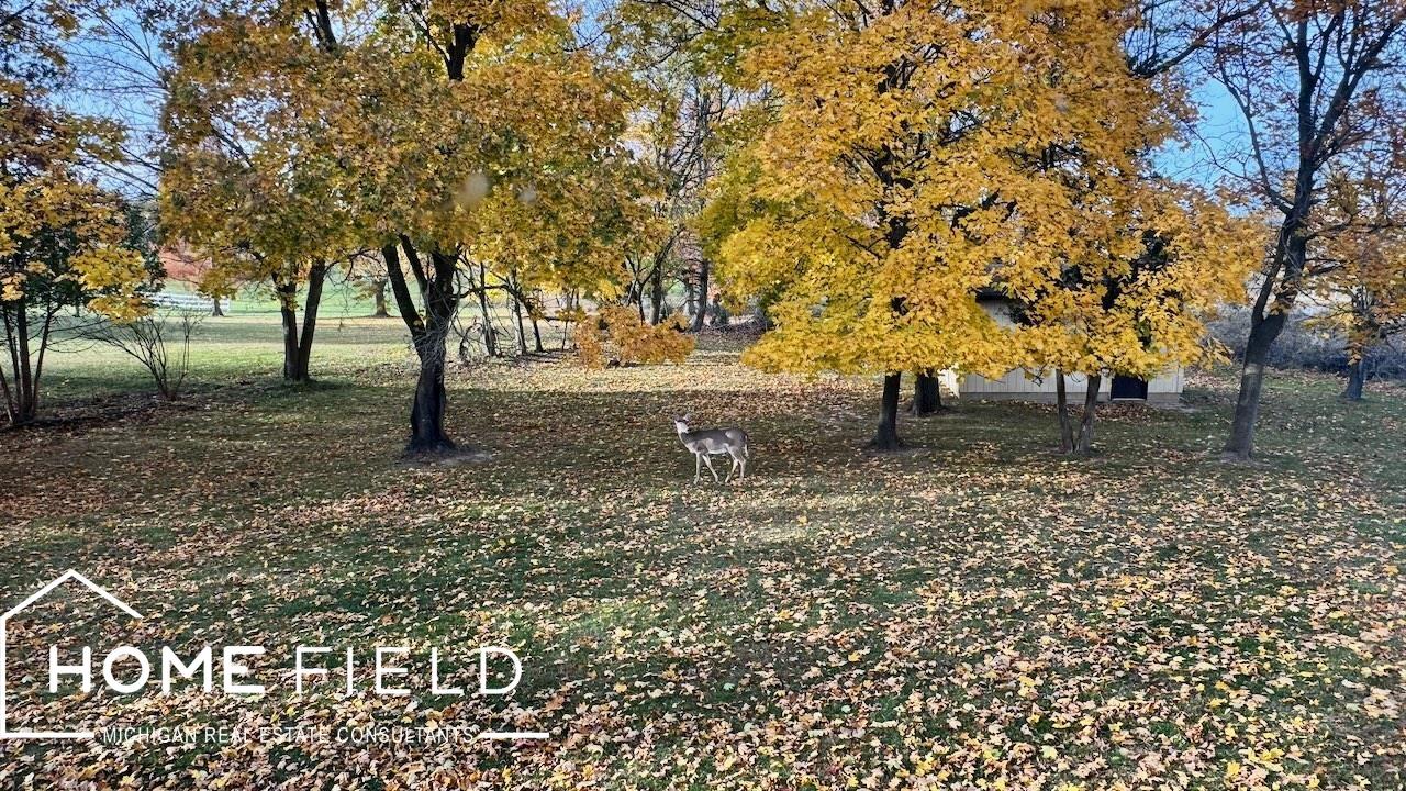 608 Ridgeview Drive Corunna, MI 48817 - Photo 13 of 32 50193952-29112405-2d4e-4107-a889-6d44d9915f74.JPG
