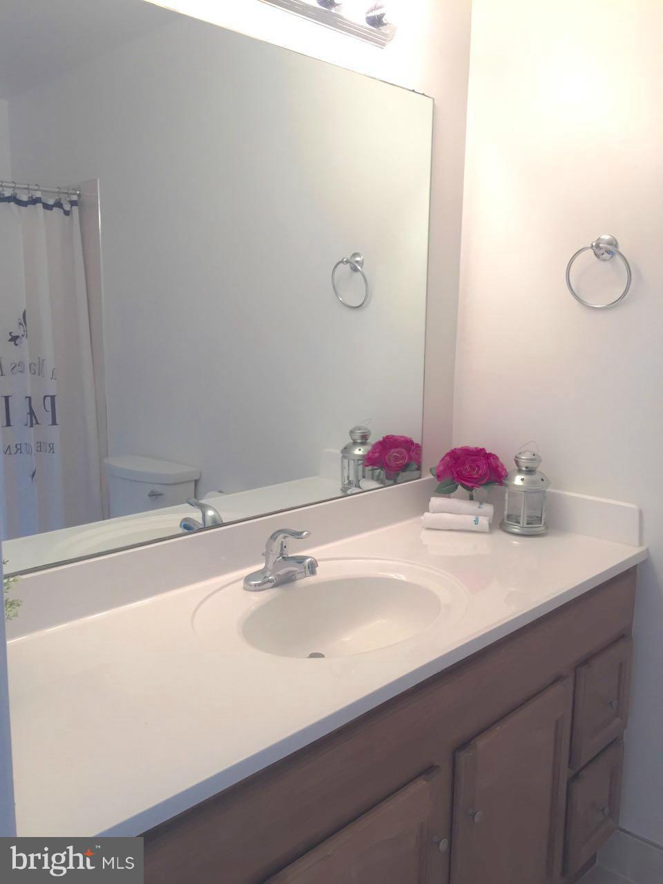 9130 Conservation Way Springfield, VA 22153 - Photo 20 of 30 Bath (Master)