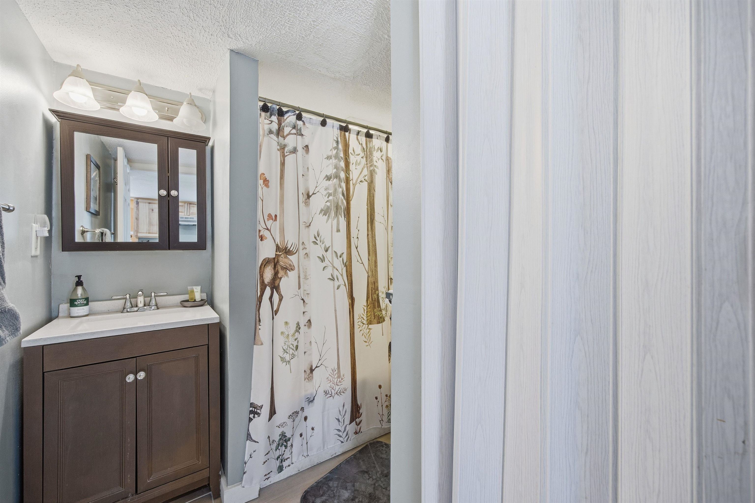 30 Moat Brook Drive North Conway, NH 03860 - Photo 17 of 52