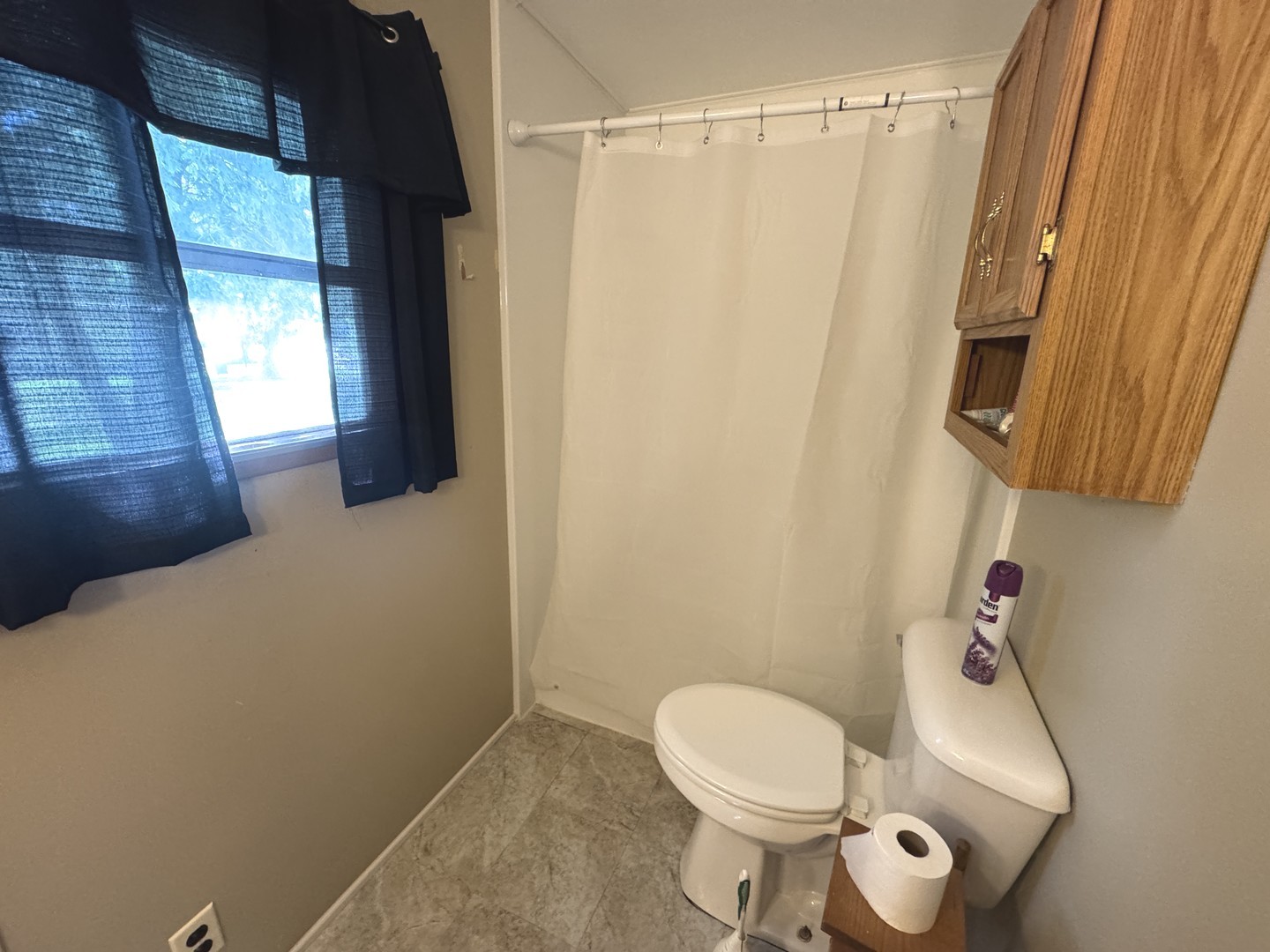 16 West Wasson Road Amboy, IL 61310 - Photo 12 of 13 a white toilet sitting next to a shower curtain