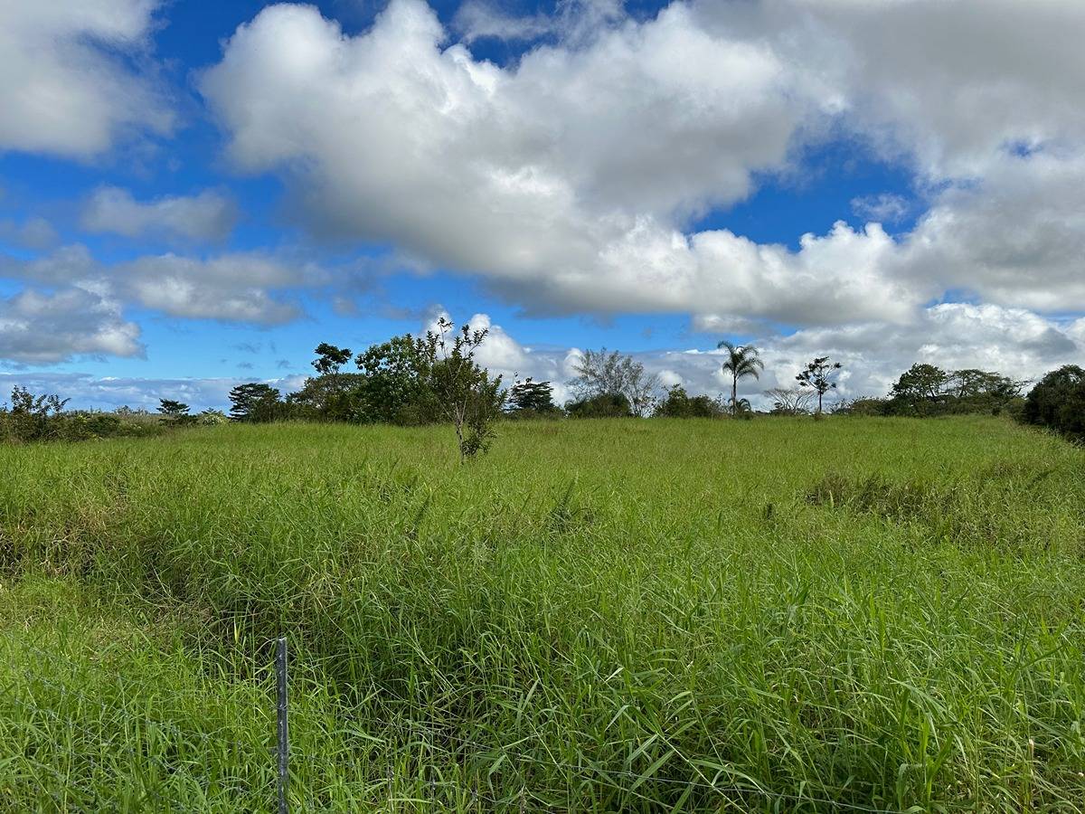 73 A Off North Road Keaau, HI 96749 - Photo 1 of 7 Gallery Image 1