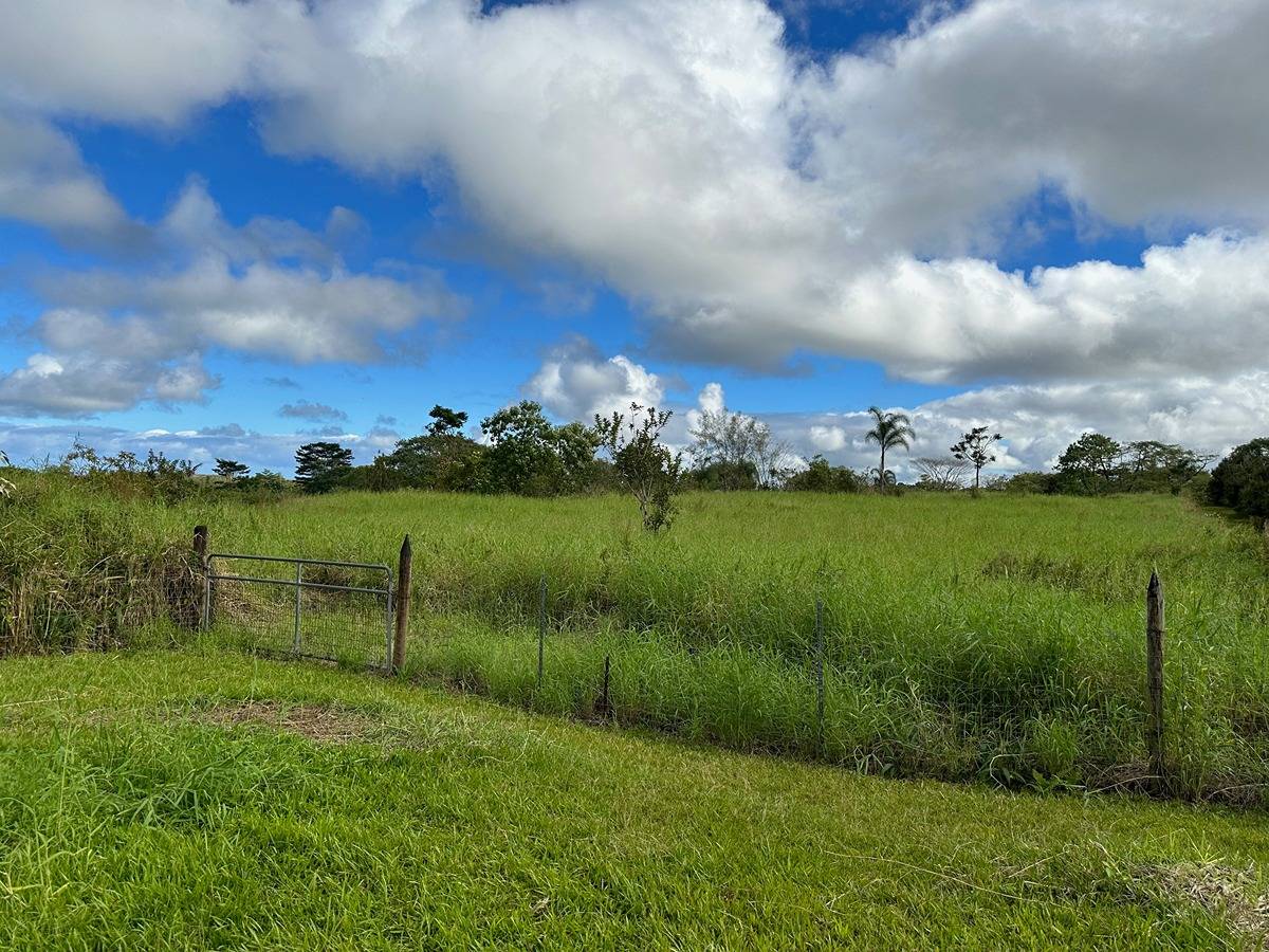 73 A Off North Road Keaau, HI 96749 - Photo 3 of 7 Gallery Image 3