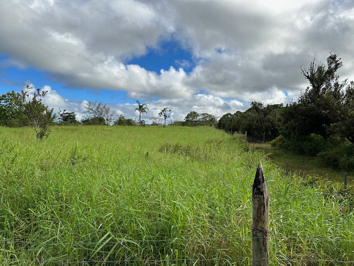 73 A Off North Road Keaau, HI 96749 - Photo 4 of 7 Gallery Image 4