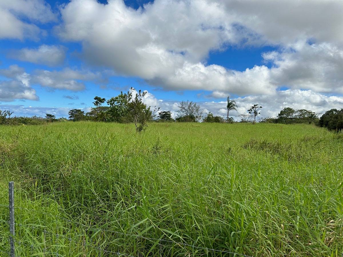 73 A Off North Road Keaau, HI 96749 - Photo 5 of 7 Gallery Image 5