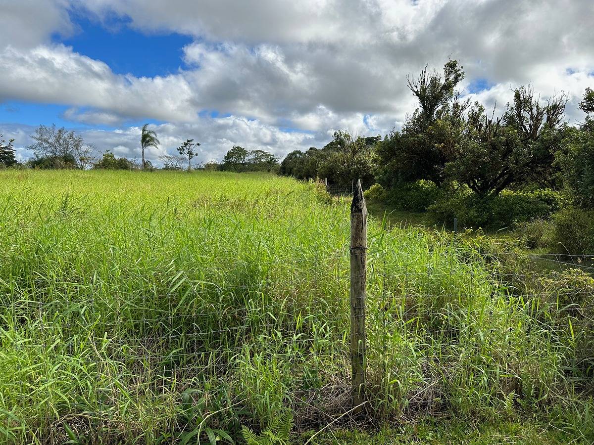 73 A Off North Road Keaau, HI 96749 - Photo 6 of 7 Gallery Image 6