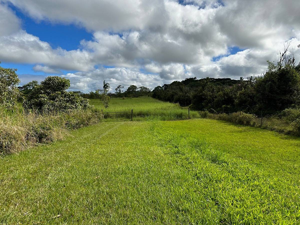 73 A Off North Road Keaau, HI 96749 - Photo 7 of 7 Gallery Image 7