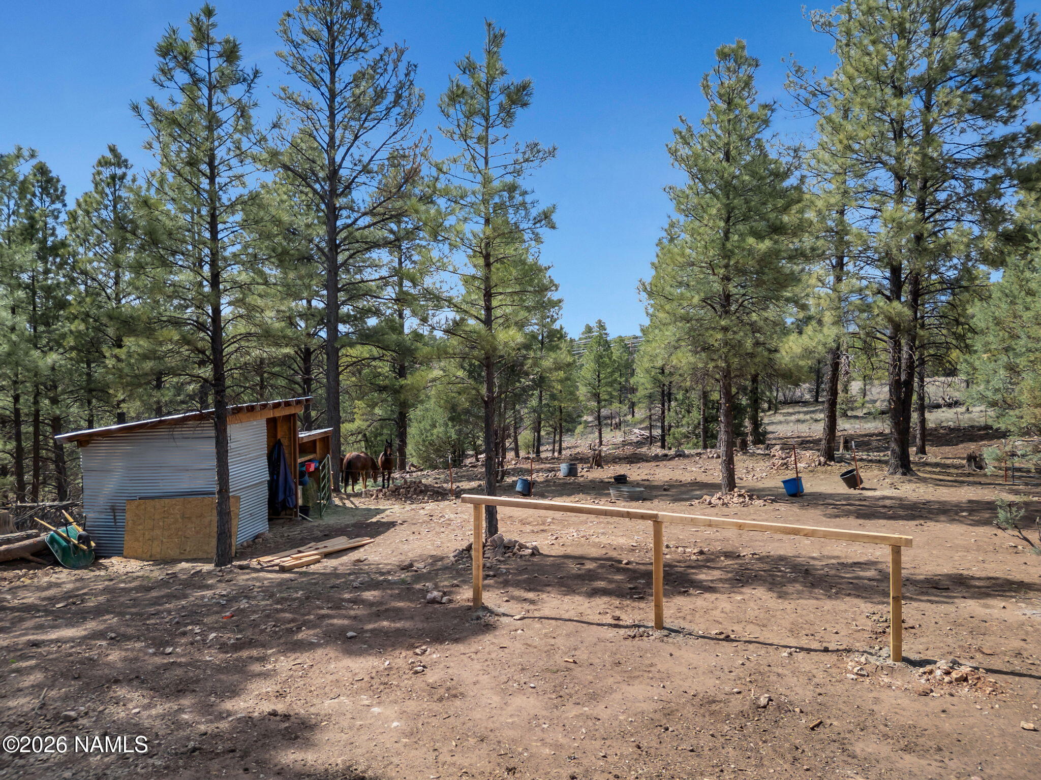 1290 South Herold Rnch Road Flagstaff, AZ 86004 - Photo 13 of 69 13-web-or-mls-TimberCreekImagery-13