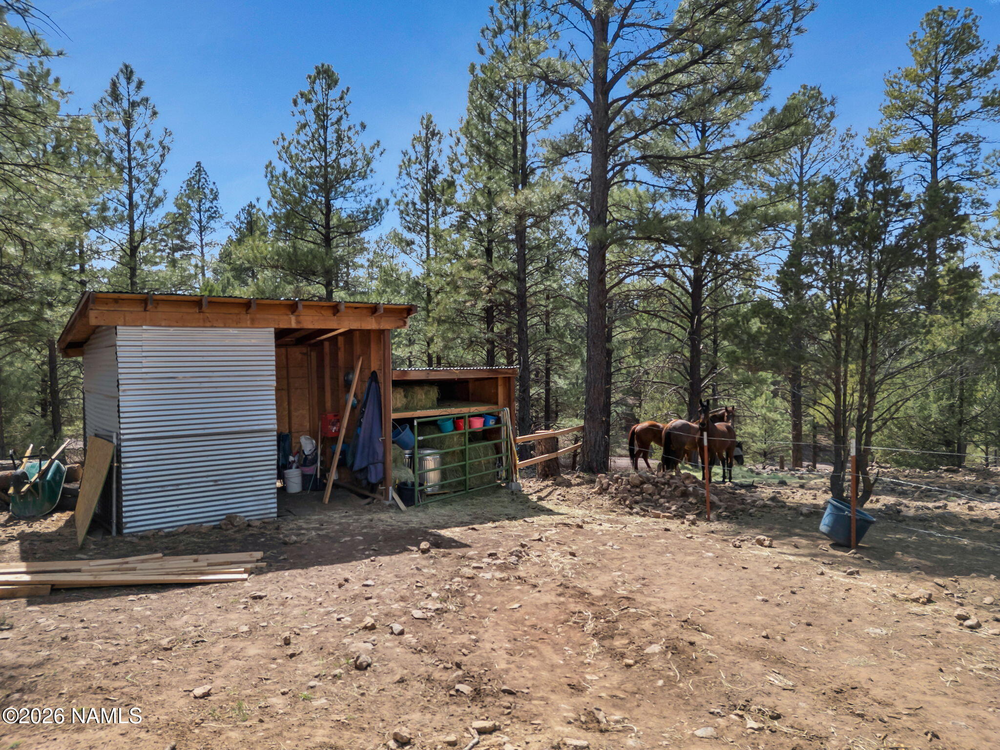 1290 South Herold Rnch Road Flagstaff, AZ 86004 - Photo 14 of 69 14-web-or-mls-TimberCreekImagery-14