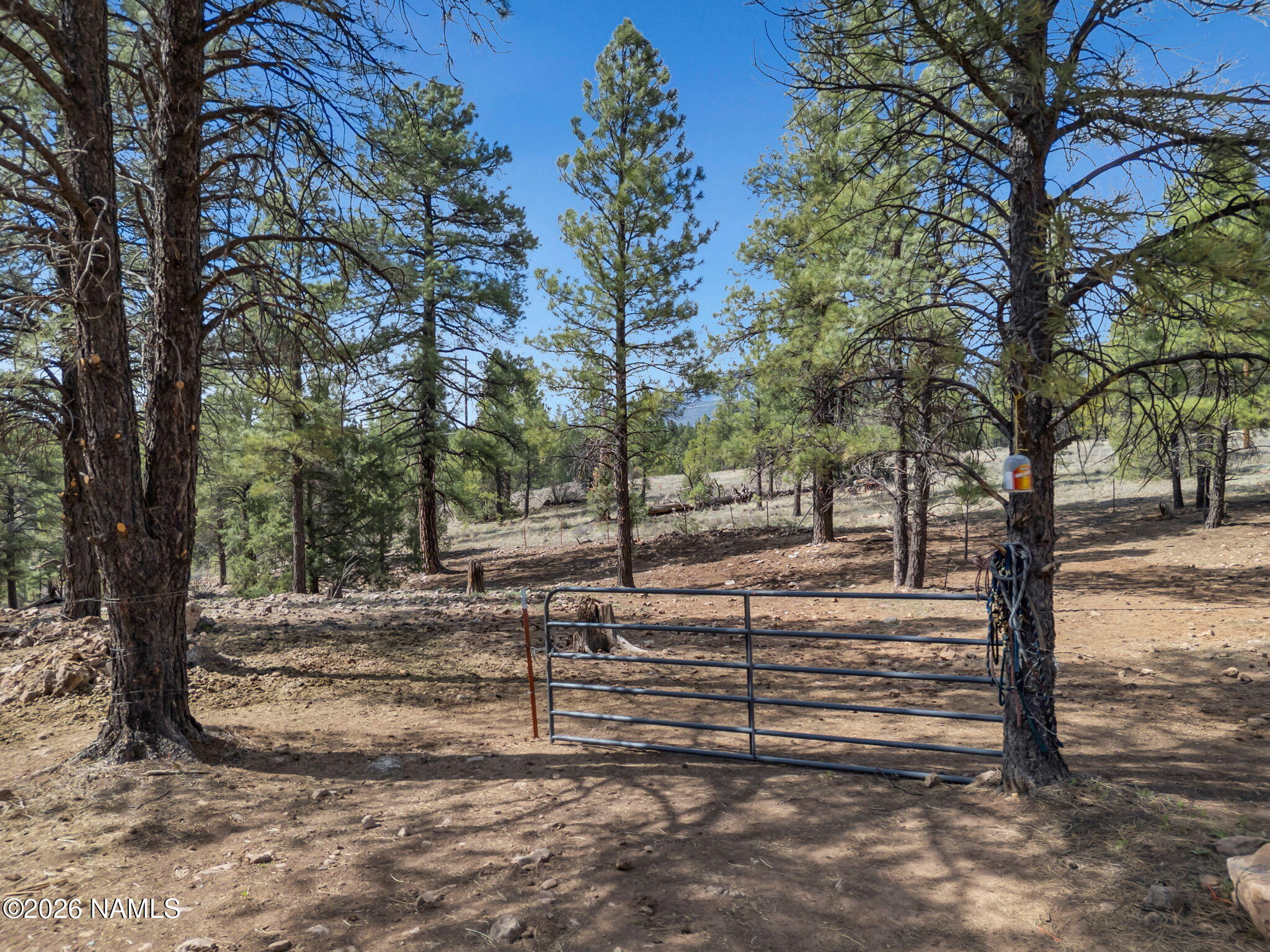 1290 South Herold Rnch Road Flagstaff, AZ 86004 - Photo 15 of 69 15-web-or-mls-TimberCreekImagery-15