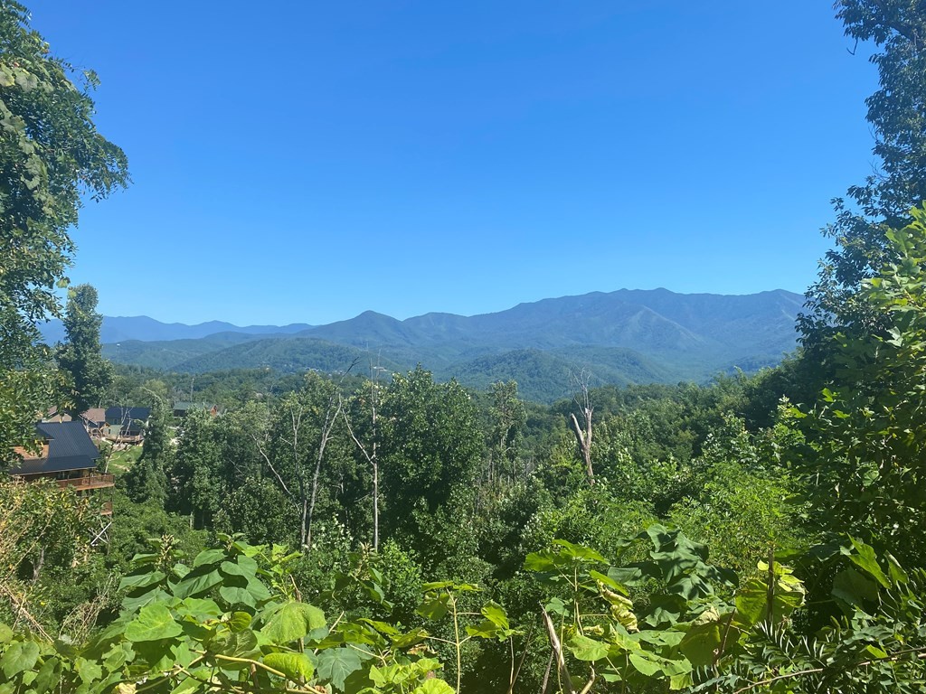 930 Elm Road Gatlinburg, TN 37738 - Photo 2 of 5 Gallery Image 2