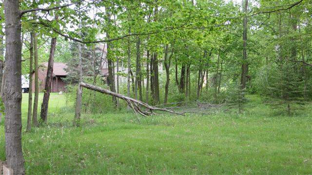 1322 Dodane Road Fort Wayne, IN 46819 - Photo 4 of 29