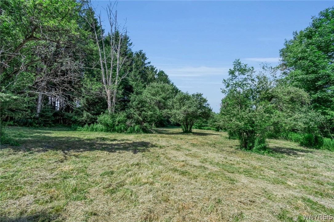 36 Freedom Road Freedom, NY 14065 - Photo 44 of 50