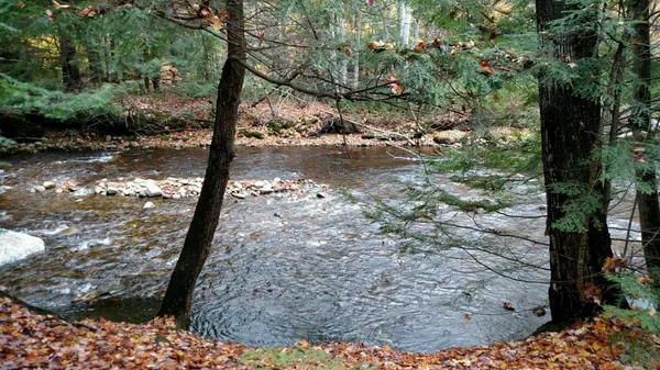 $33,900 | 156 Deer Park Drive, Unit 135A, North Woodstock, NH 03262