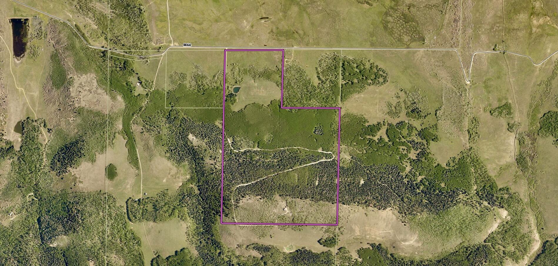 8076 County Rd M44 Placerville, CO 81430 - Photo 58 of 58 8076 CR M44