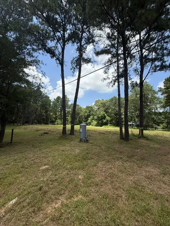 a view of a park with large trees