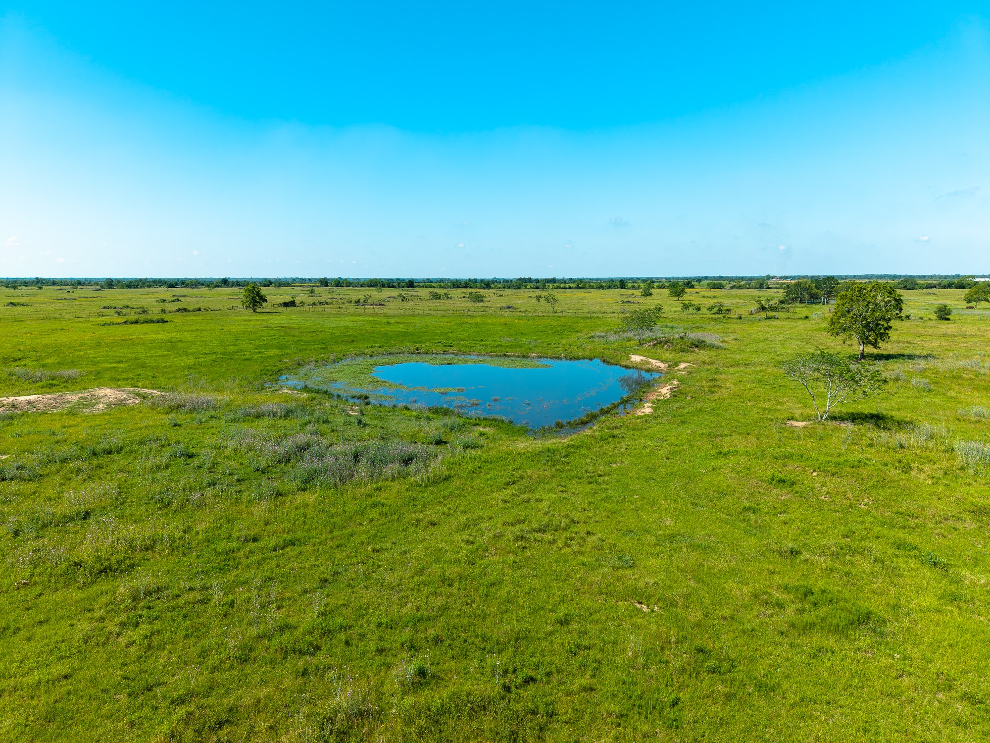 1929 FM 2761 Road Cat Spring, TX 78933 - Photo 6 of 16 a view of an ocean and beach