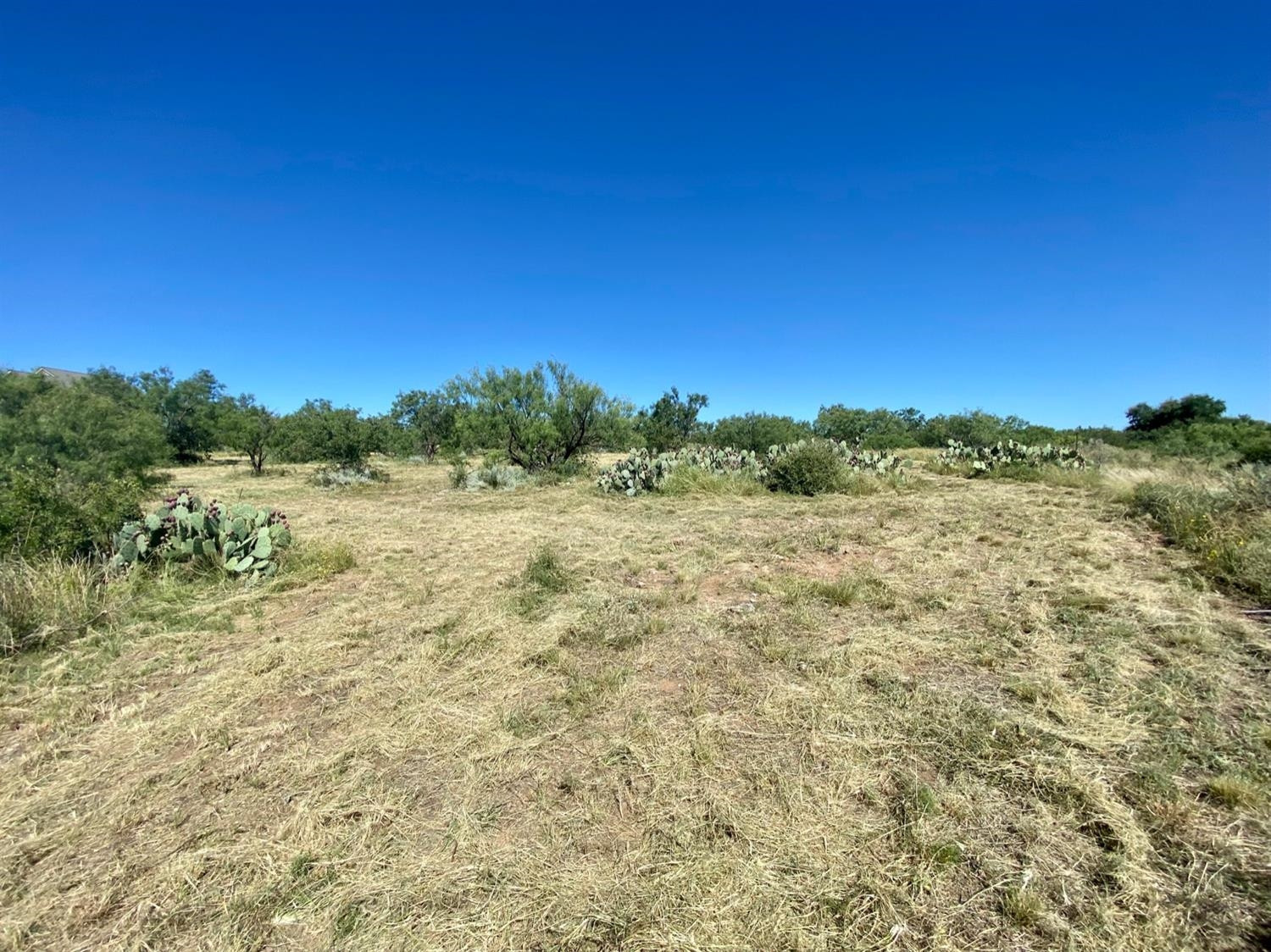 11 Becker Road Snyder, TX 79549 - Photo 8 of 19 Photo 8