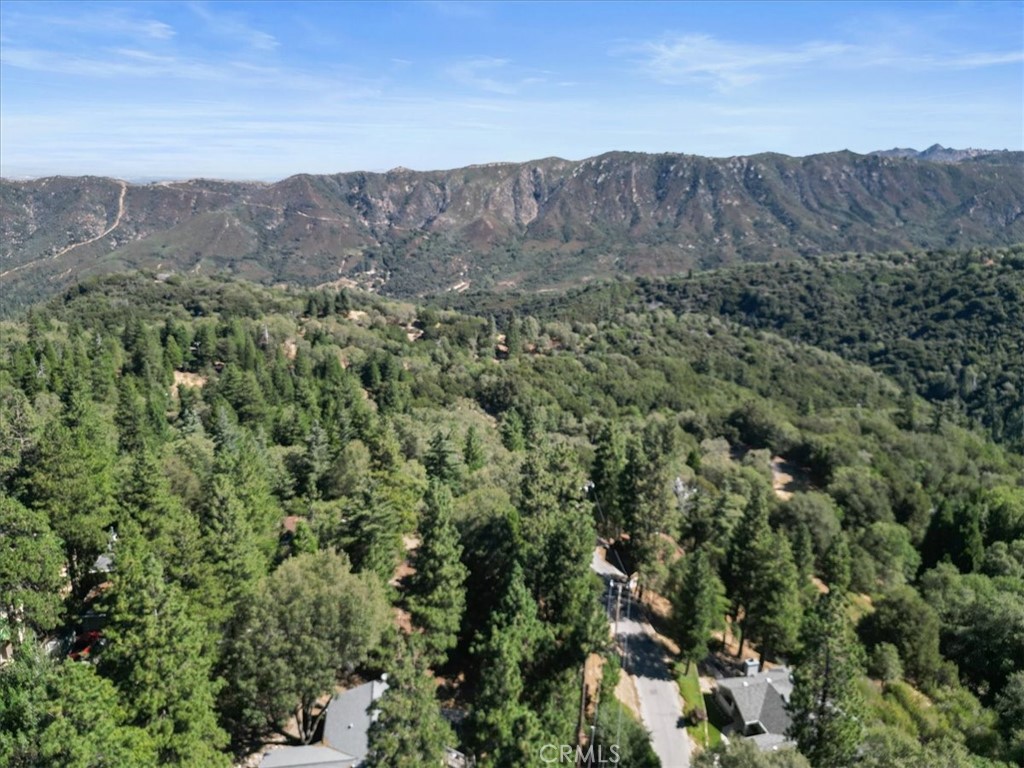 107 Pine Ridge Road Crestline, CA 92325 - Photo 35 of 38 Gallery Image 35