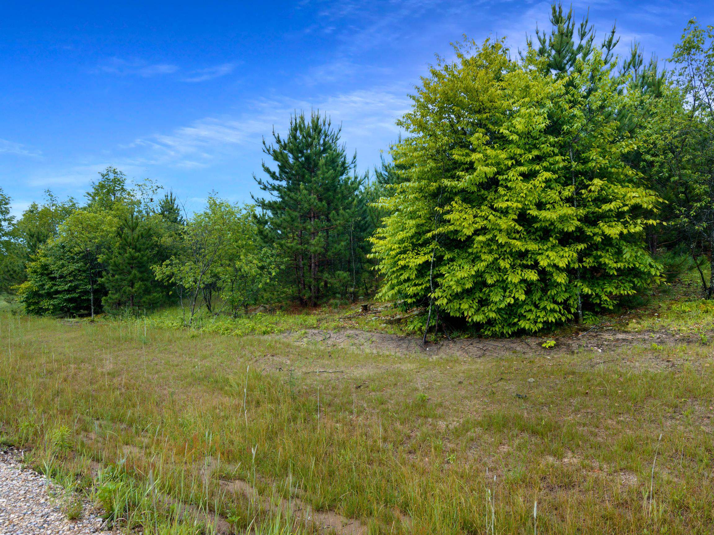 0 Maple Farms Lane Kingsley, MI 49649 - Photo 14 of 21 1947367-570a9478-7cd1-4bcc-9919-3805ca715934.JPG