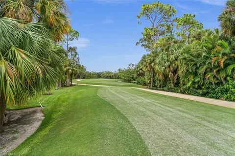 a view of a yard with a trees