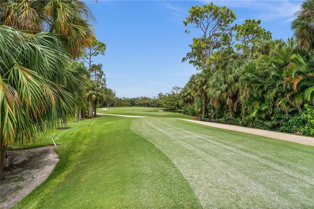 a view of a yard with a trees