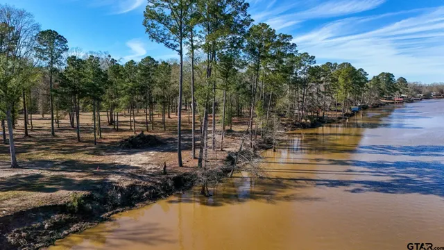 a view of park with trees