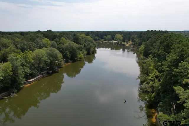 a view of a city with lots of trees