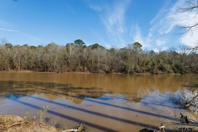 a view of a park with trees