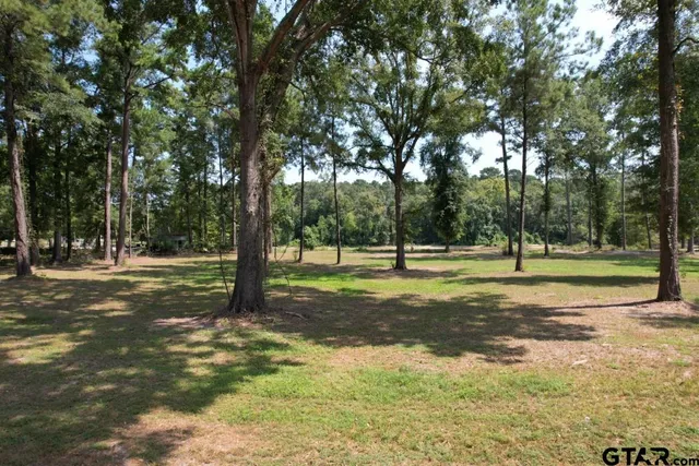 a view of a park with tree s