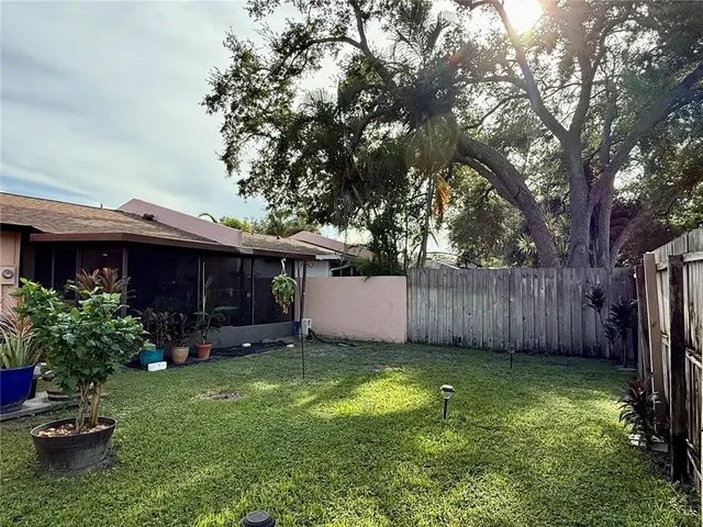 a view of a backyard with potted plants and a large tree