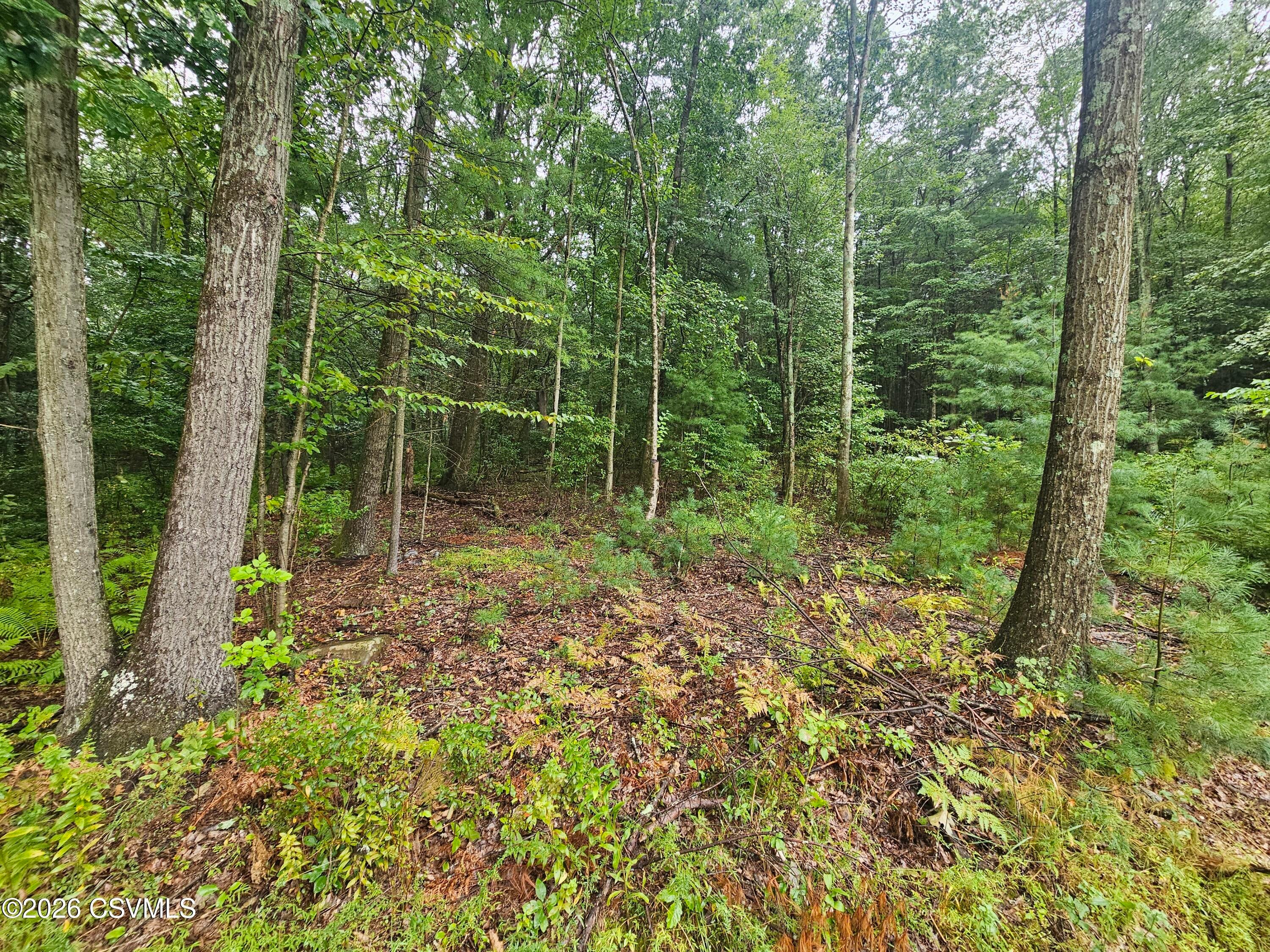 Slocum Road Wapwallopen, PA 18660 - Photo 3 of 4 Gallery Image 3